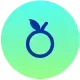 Health icon