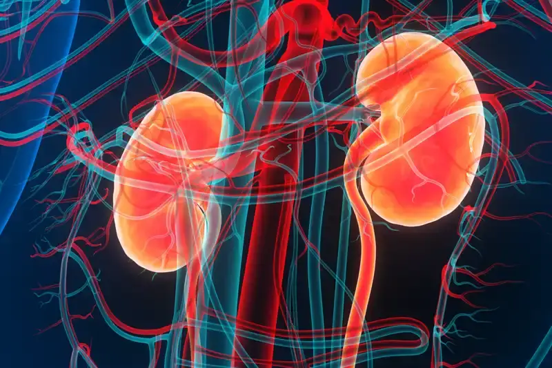 Understanding Chronic Kidney Disease and Its Impact on Hispanic Communities
